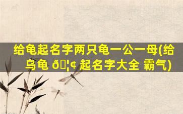 给龟起名字两只龟一公一母(给乌龟 🦢 起名字大全 霸气)